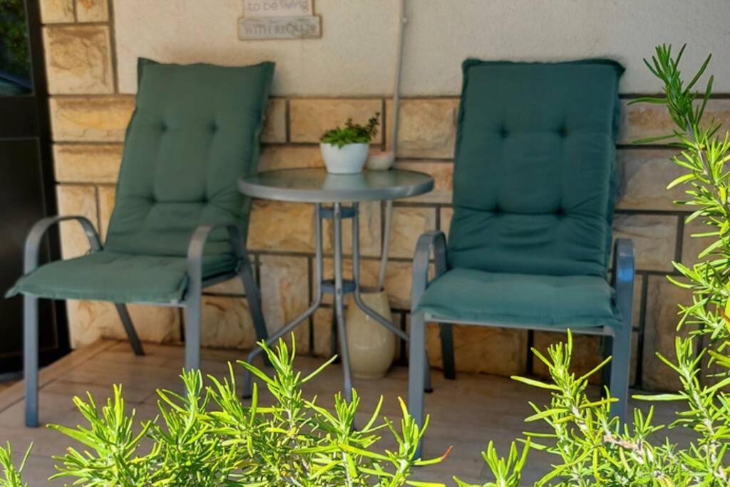 Apartment Vinotoc Izola Zewnętrze zdjęcie